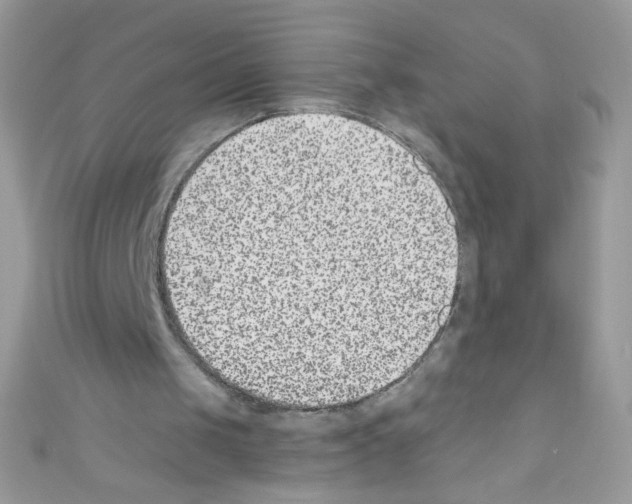 X0000110730049200907241235