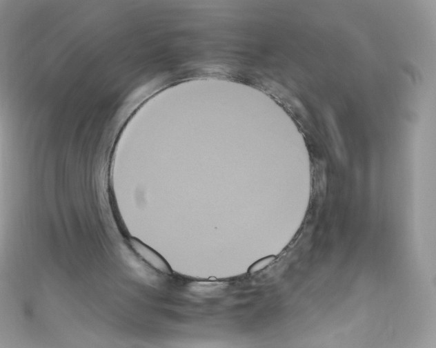 X0000110730051200907241235