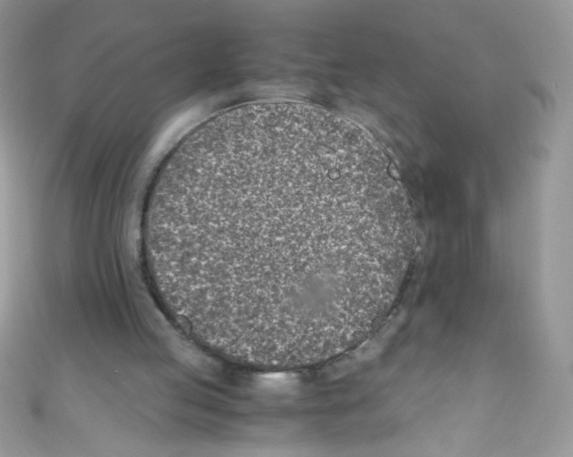X0000110730053200907241235