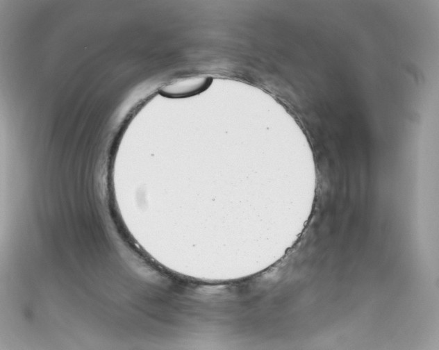 X0000110730054200907241235