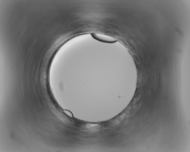 X0000110730055200907241235