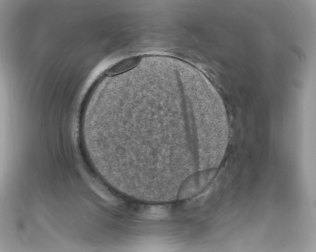 X0000110730056200907241235