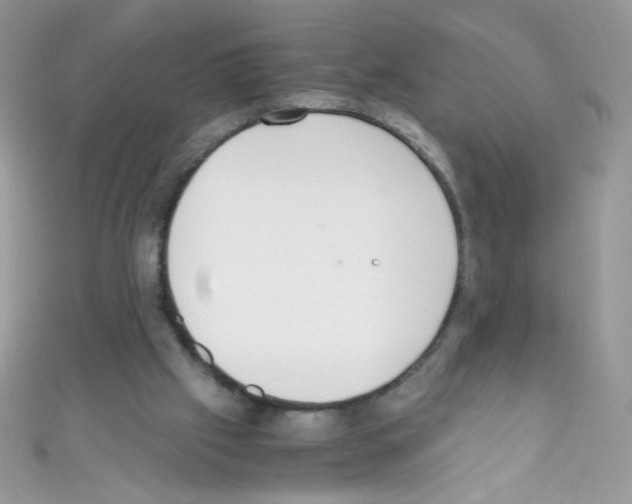 X0000110730057200907241235