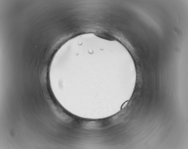 X0000110730058200907241235