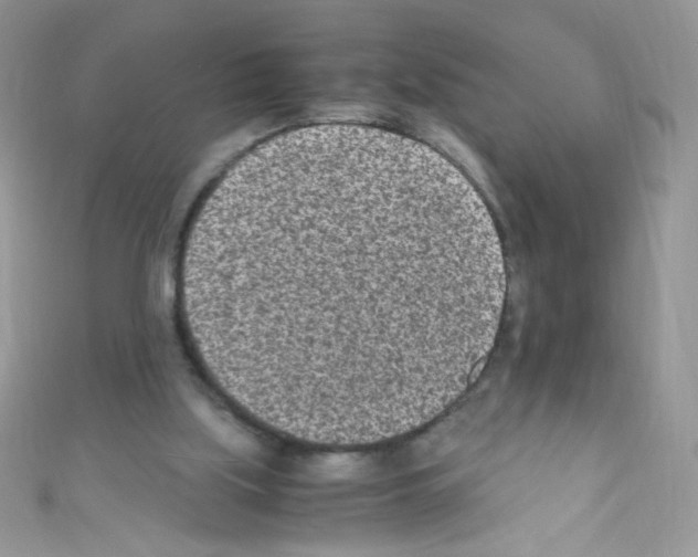 X0000110730059200907241235