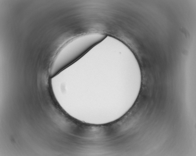 X0000110730060200907241236