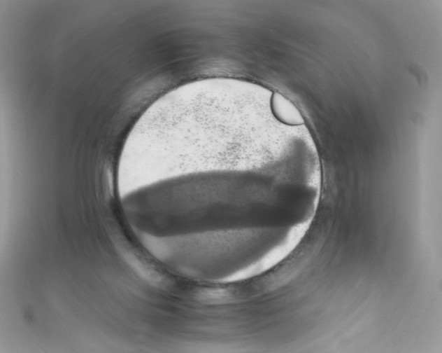 X0000110730061200907241236