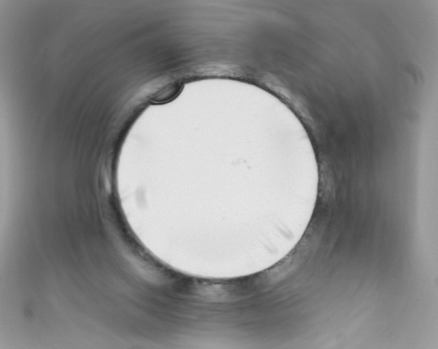 X0000110730062200907241236