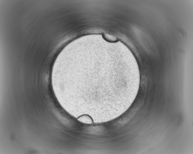 X0000110730063200907241236