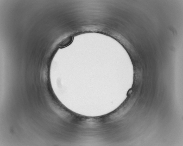 X0000110730064200907241236