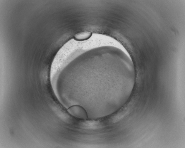 X0000110730065200907241236