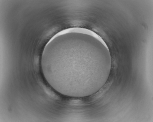 X0000110730066200907241236
