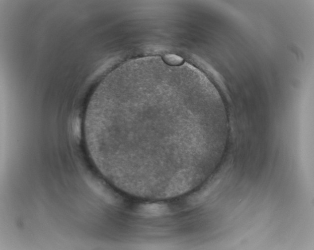 X0000110730067200907241236