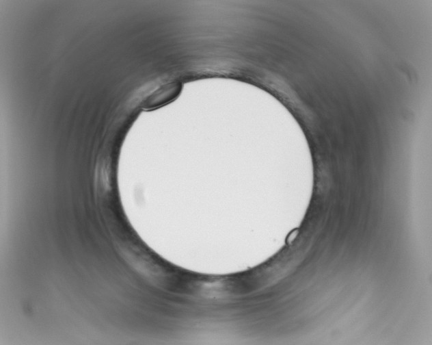 X0000110730068200907241236