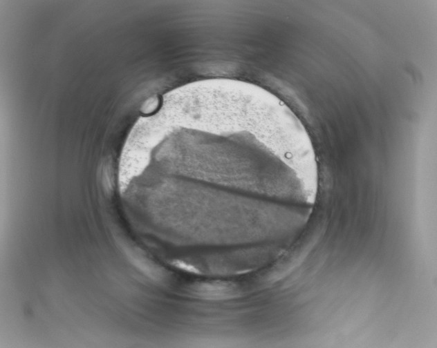 X0000110730069200907241236
