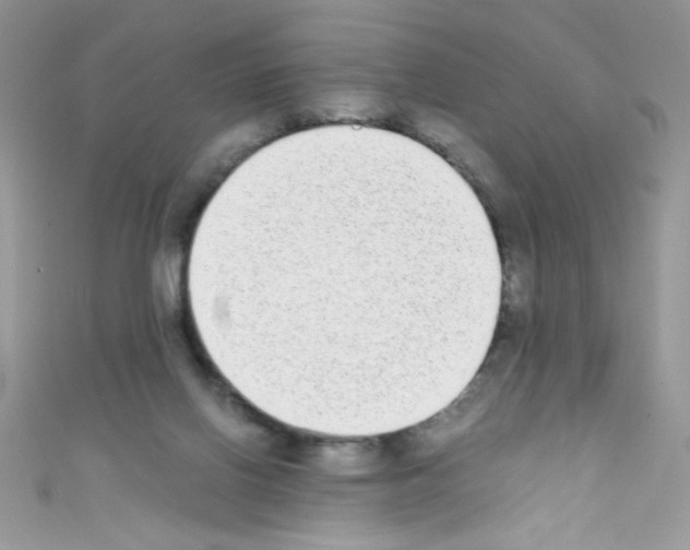 X0000110730070200907241236