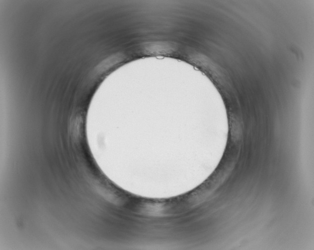 X0000110730071200907241236