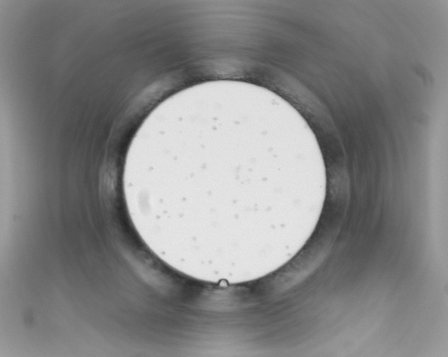 X0000110730072200907241236