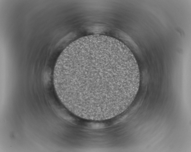 X0000110730073200907241236