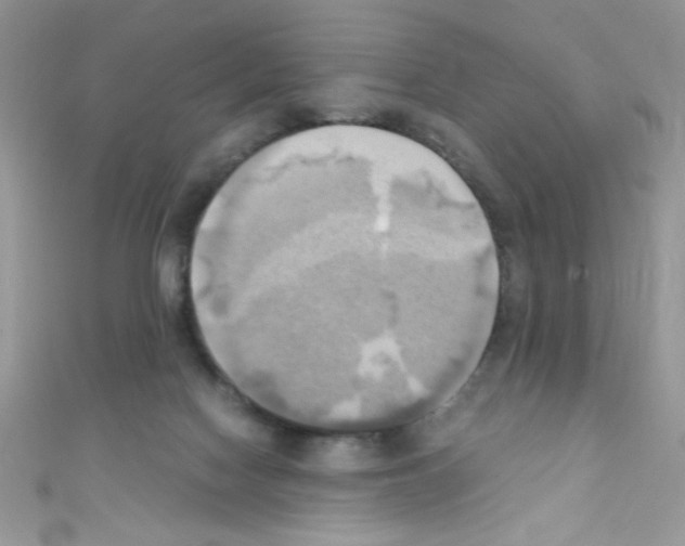 X0000110730074200907241236