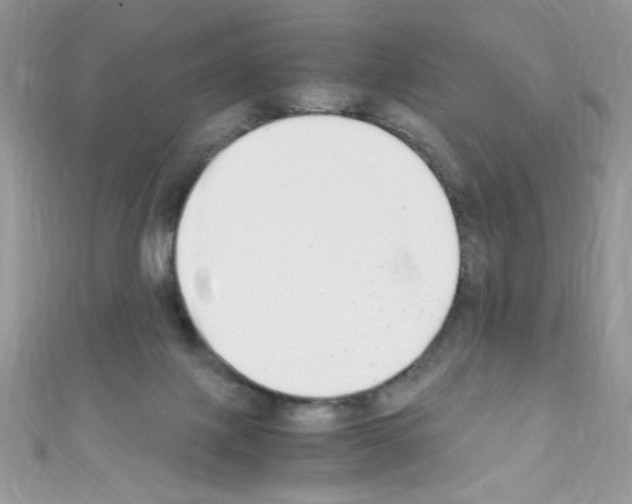 X0000110730075200907241236