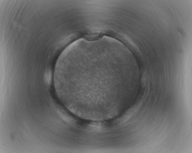 X0000110730076200907241236