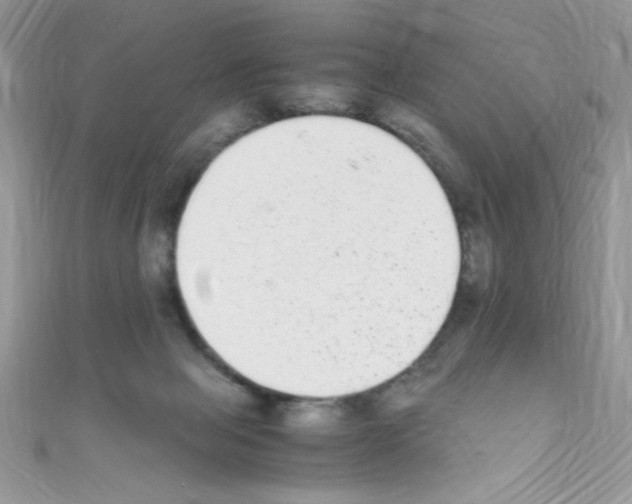X0000110730077200907241236