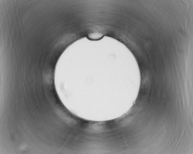 X0000110730078200907241236