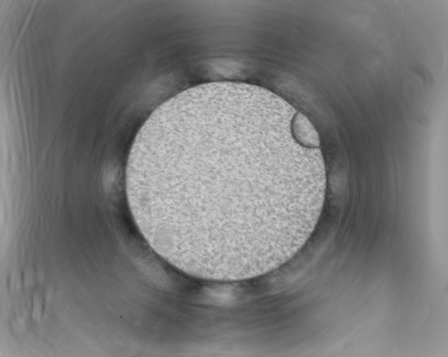 X0000110730079200907241236