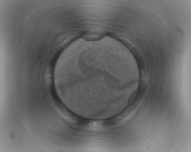 X0000110730080200907241236