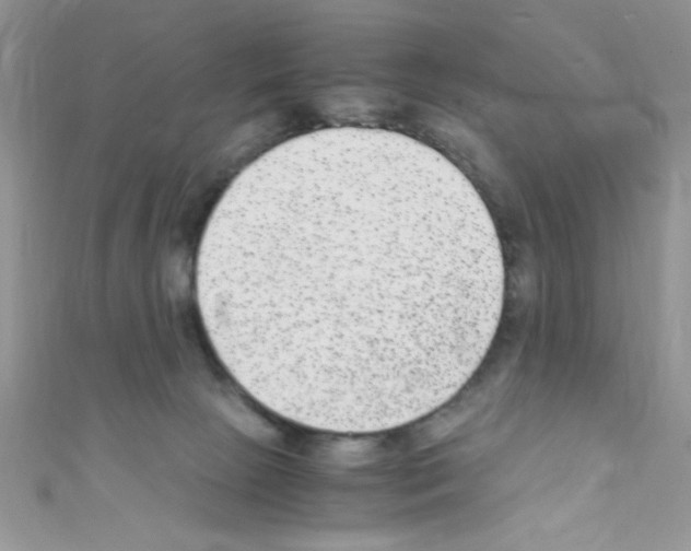 X0000110730081200907241236