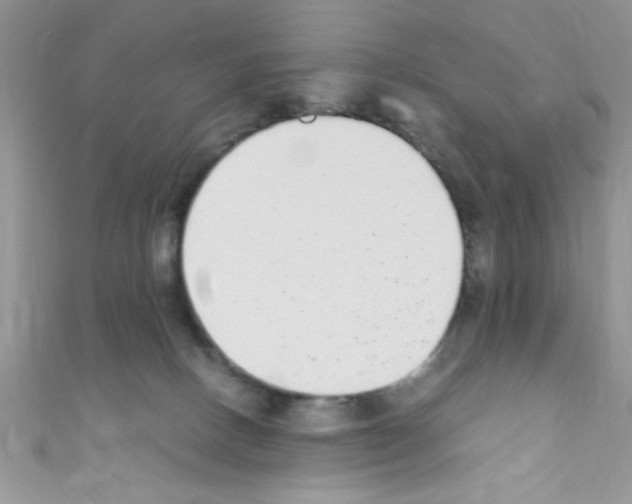 X0000110730082200907241236