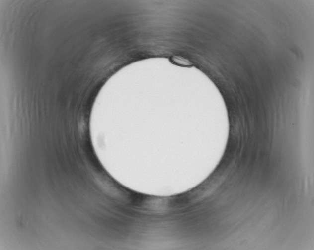 X0000110730084200907241236