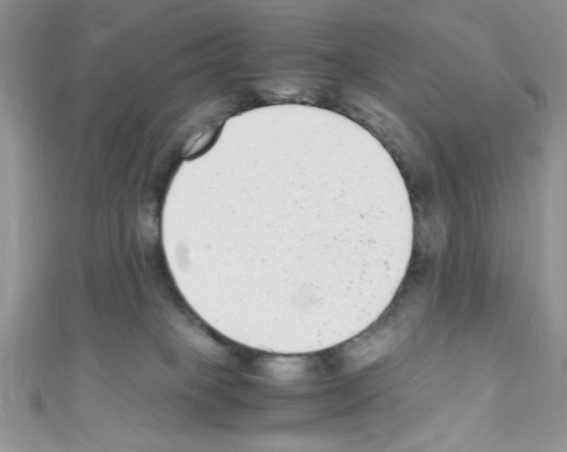 X0000110730085200907241236