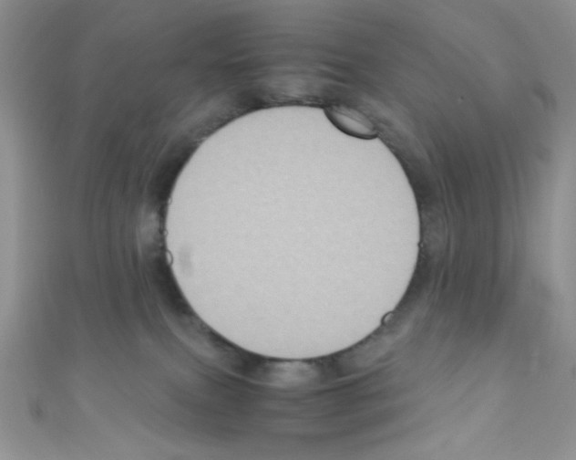 X0000110730087200907241236