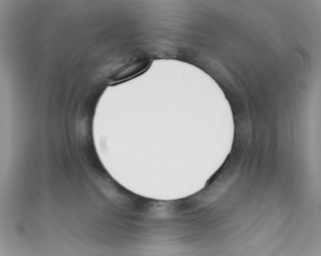 X0000110730088200907241236