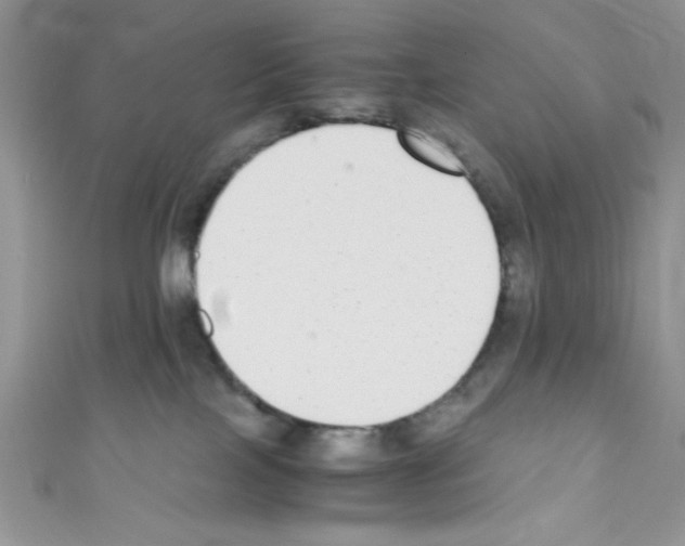 X0000110730089200907241236