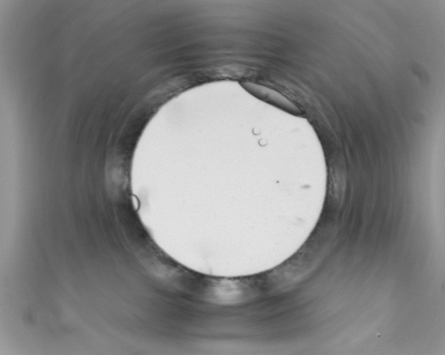 X0000110730091200907241236
