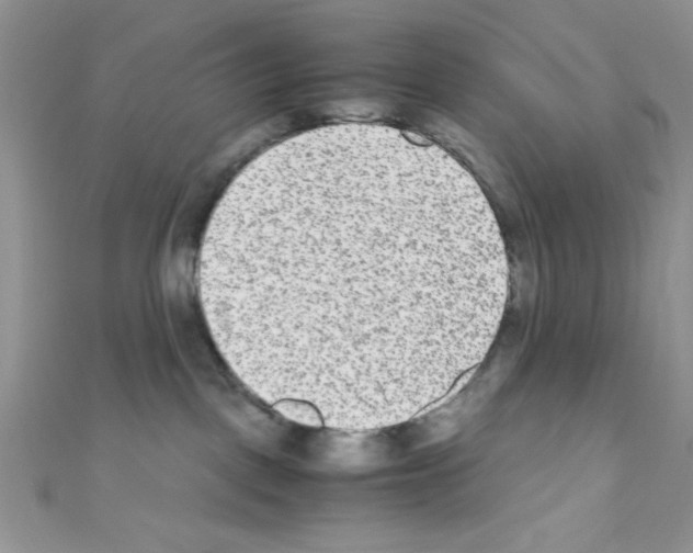 X0000110730093200907241236