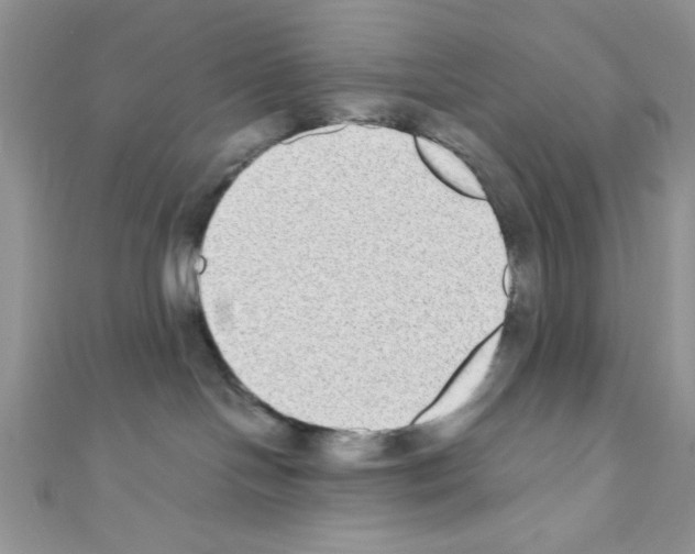 X0000110730094200907241236
