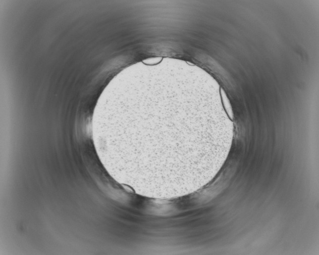 X0000110730095200907241236