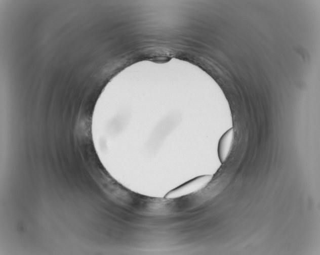 X0000110730096200907241236