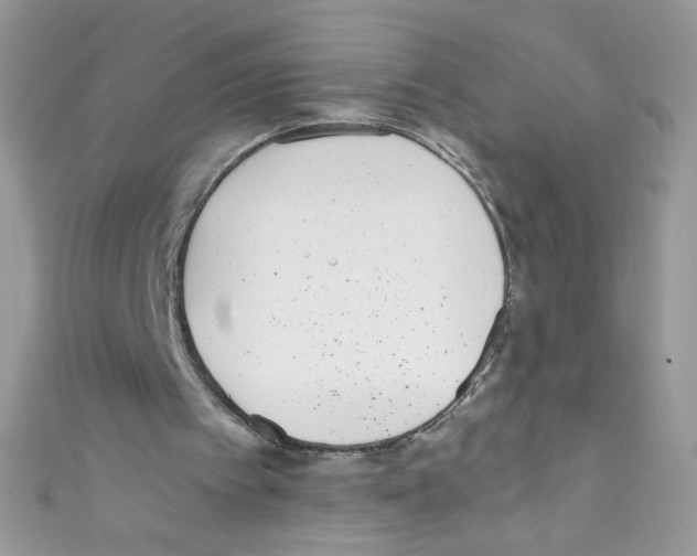X0000110730097200907241235