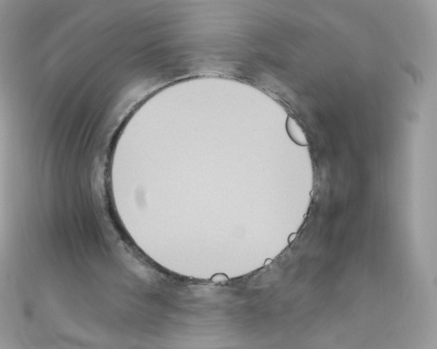 X0000110730098200907241235