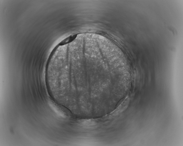 X0000110730100200907241235