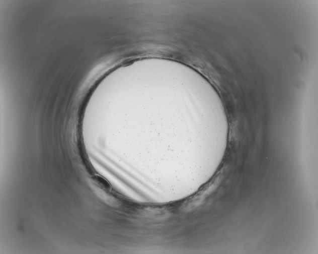 X0000110730101200907241235