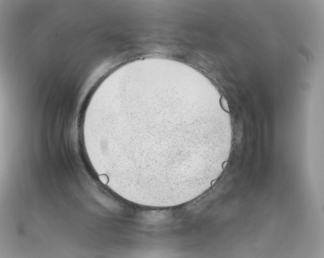 X0000110730102200907241235