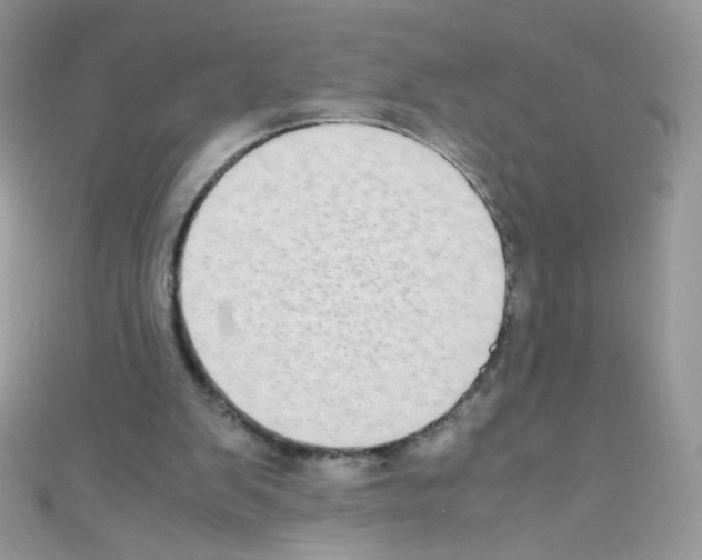 X0000110730103200907241235