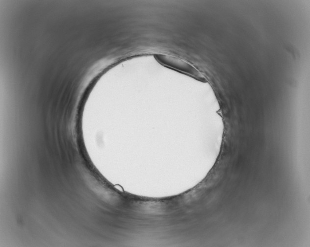 X0000110730104200907241235