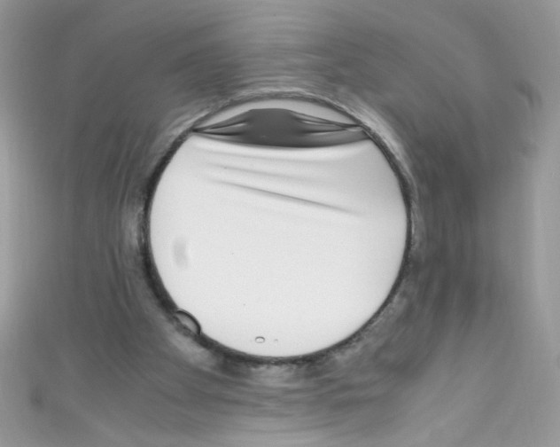 X0000110730105200907241235